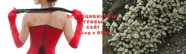 стафф Алексеевка