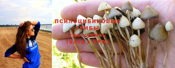 СК Покров